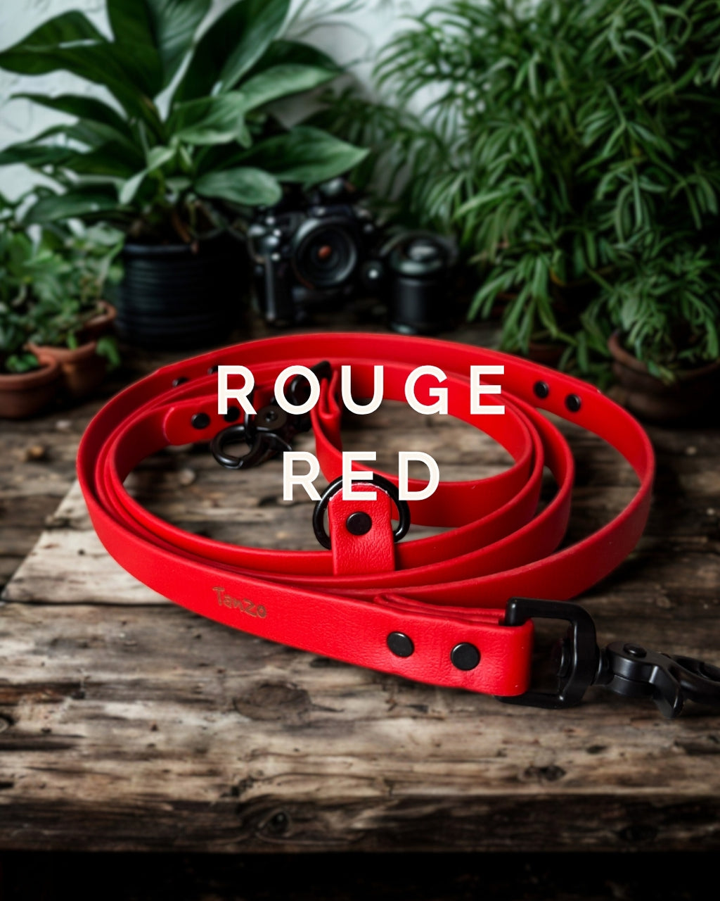 Laisse mains-libres 5 en 1