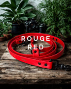 Laisse mains-libres 5 en 1