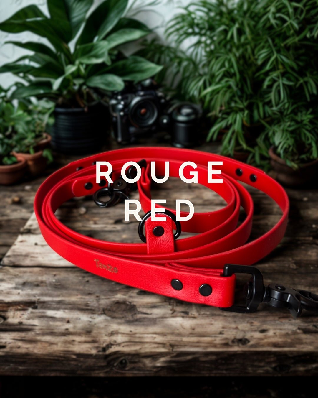 Laisse mains-libres 5 en 1