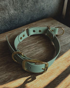 Collier martingale ajustable en Biothane