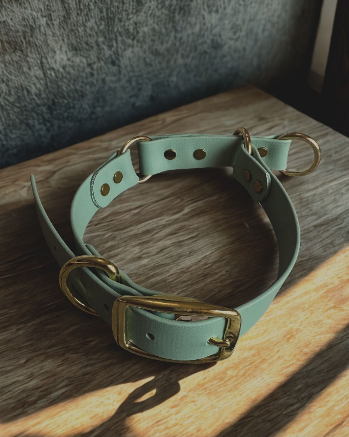 Collier martingale ajustable en Biothane