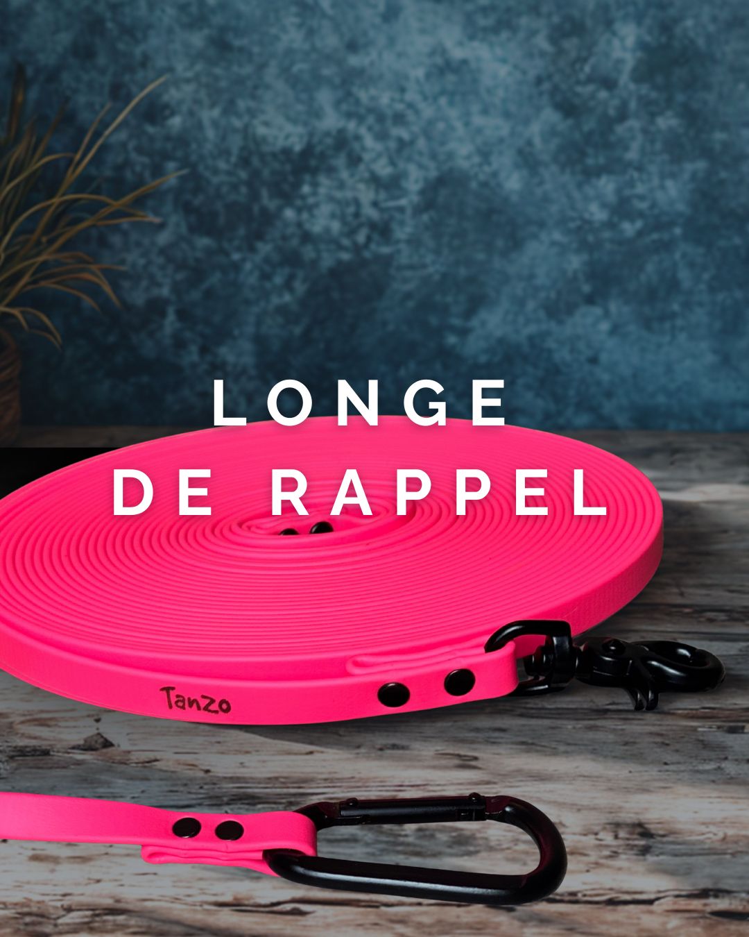 Longe de rappel en Biothane