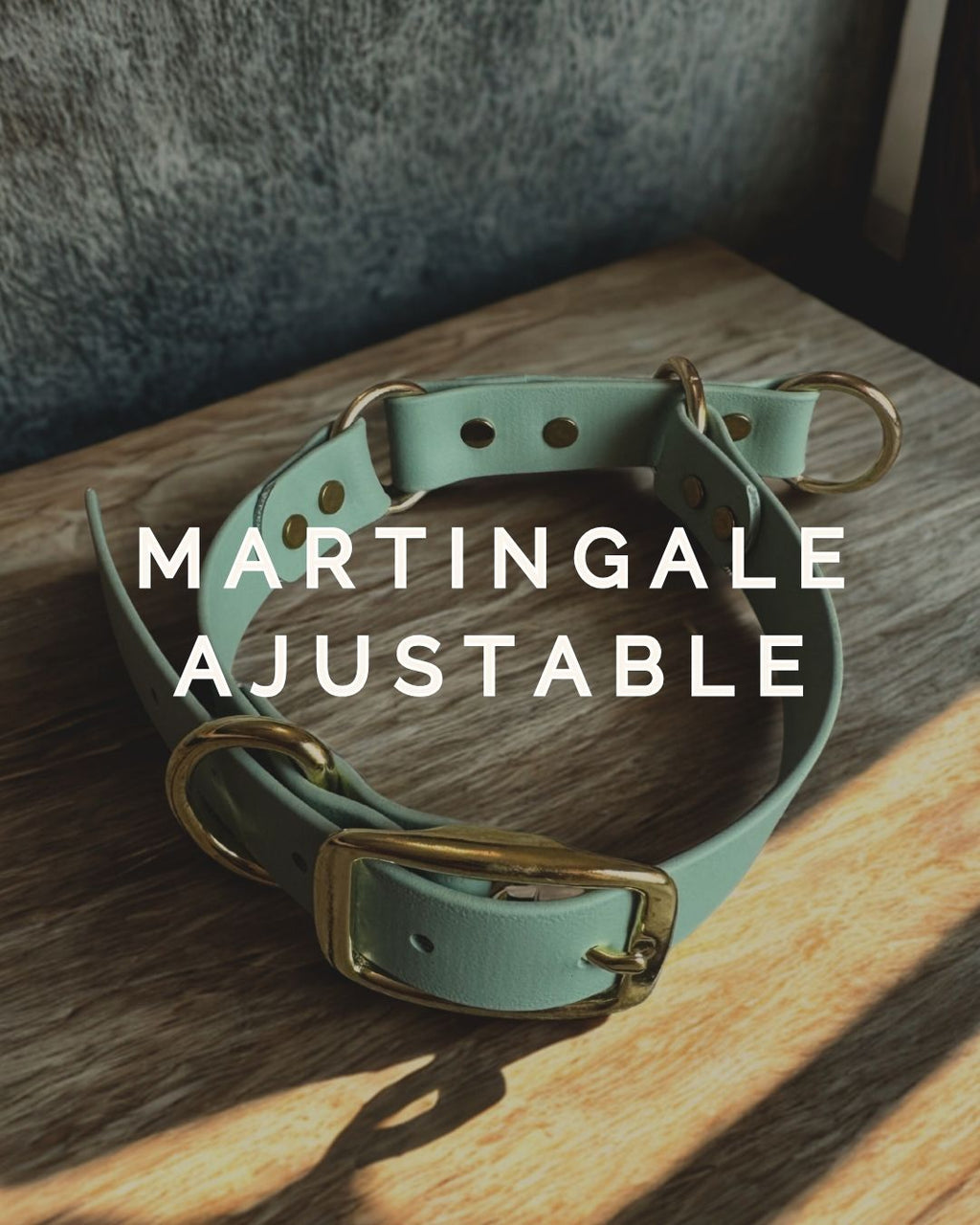 Collier martingale ajustable en Biothane