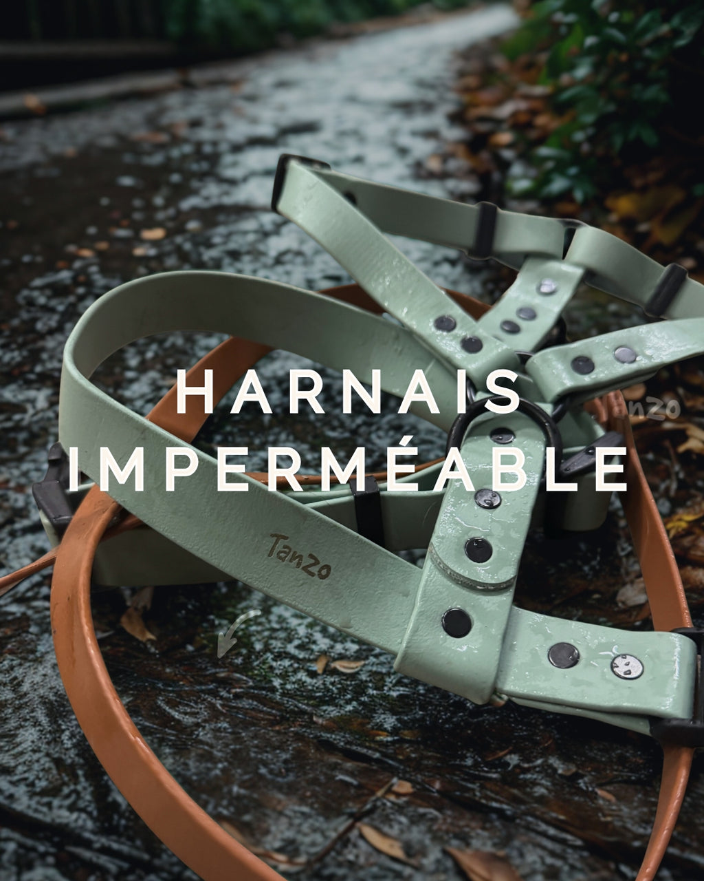 Harnais en biothane ajustable