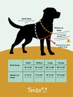 Harnais pour chien en biothane ajustable