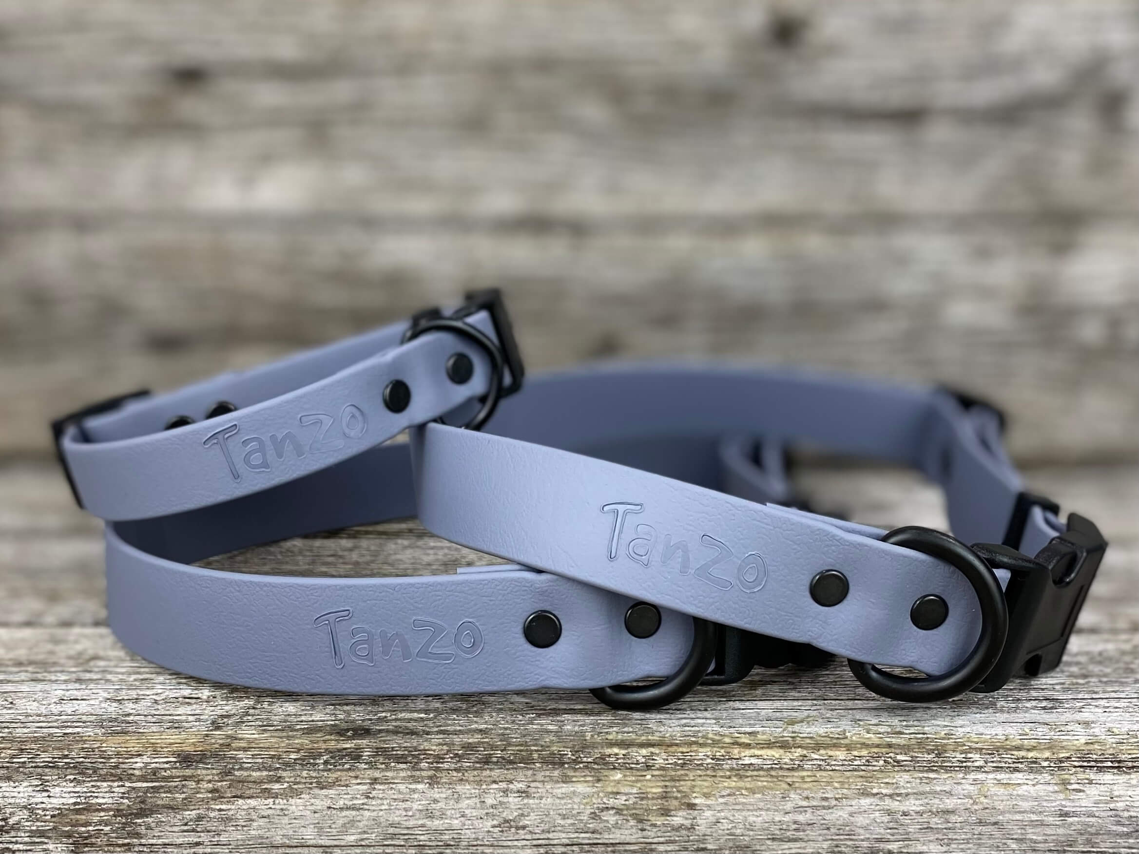 collier chien hypoallergène gris fait au quebec