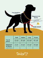 Harnais pour chien en biothane ajustable