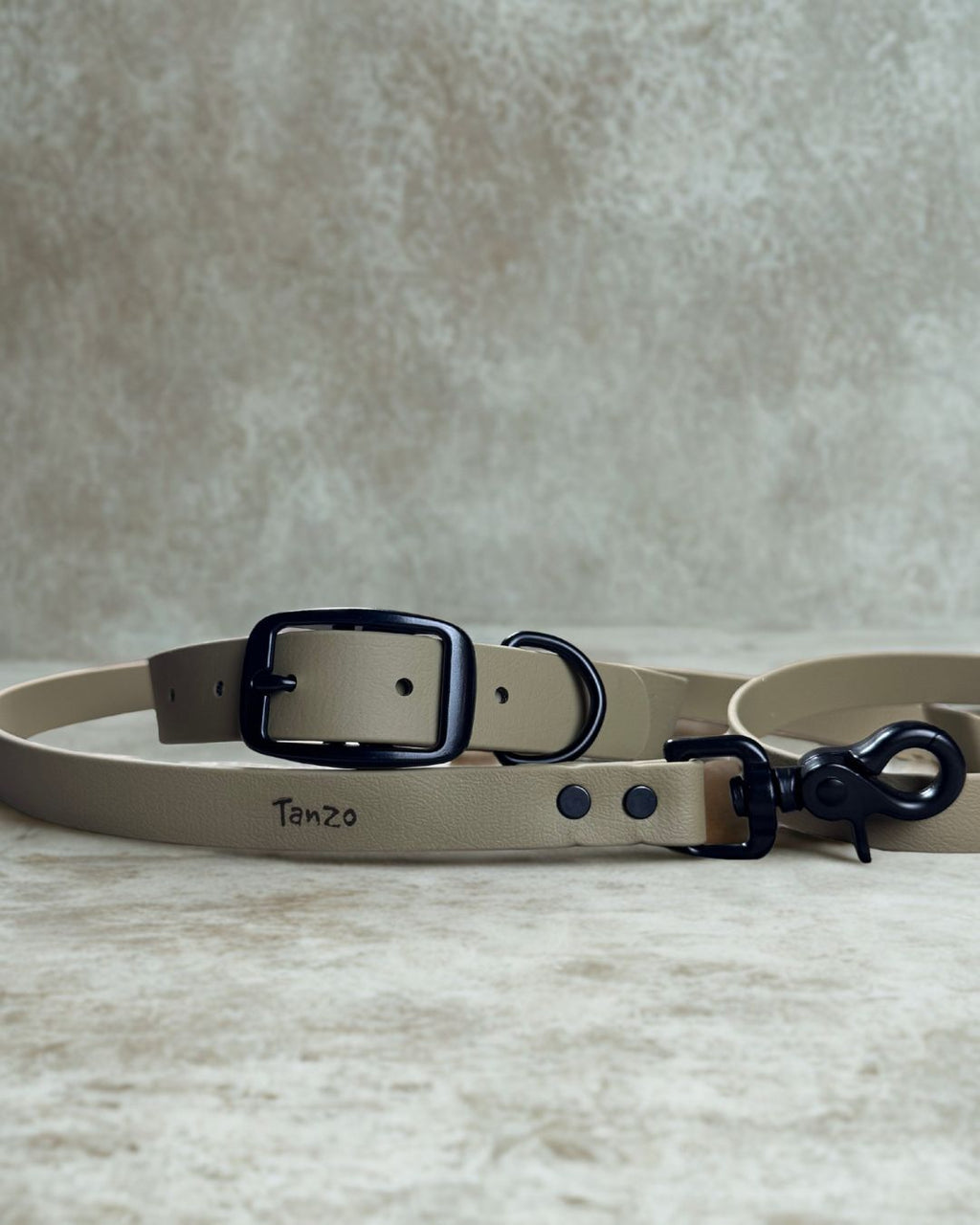 Ensemble collier et laisse