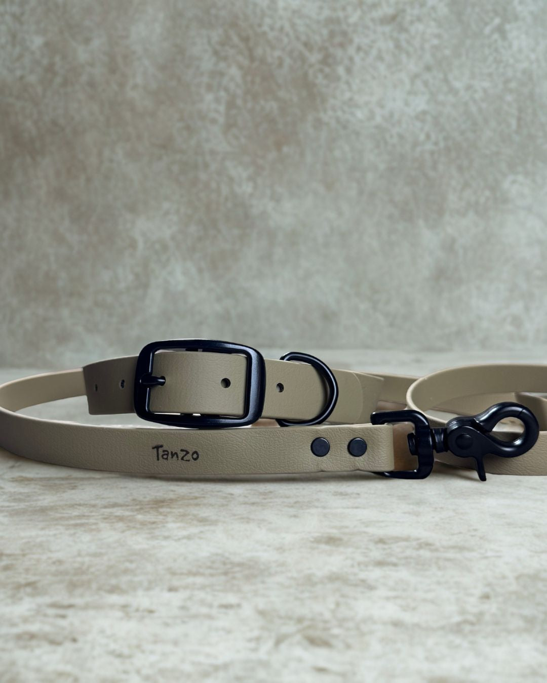 Ensemble collier et laisse