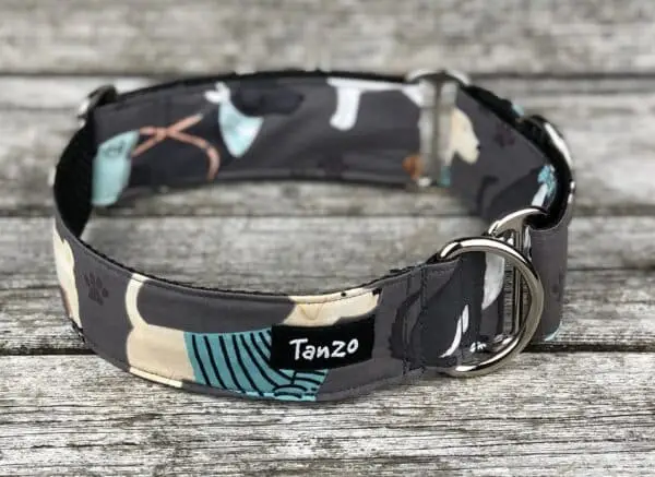 Collier, chiens avec vêtements – Image 4