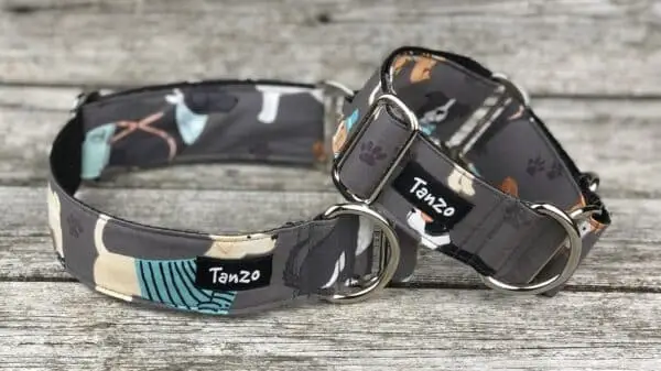 Collier, chiens avec vêtements – Image 5