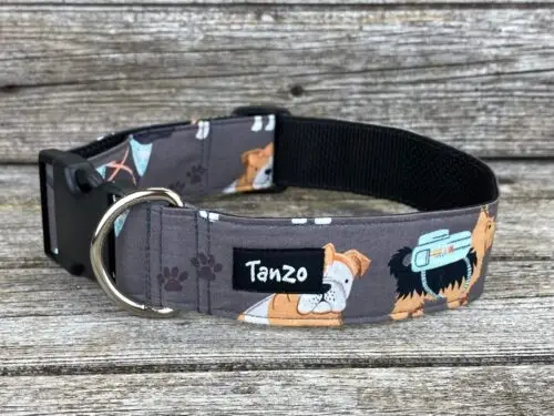 Collier, chiens avec vêtements