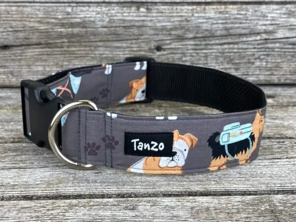 Collier, chiens avec vêtements