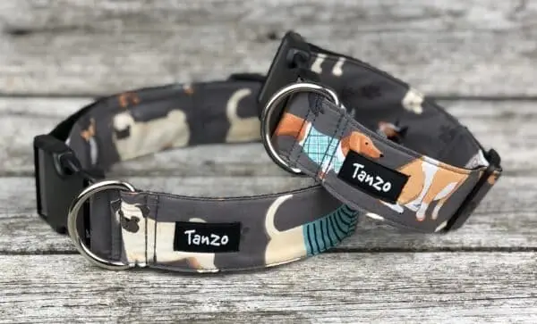 Collier, chiens avec vêtements – Image 2