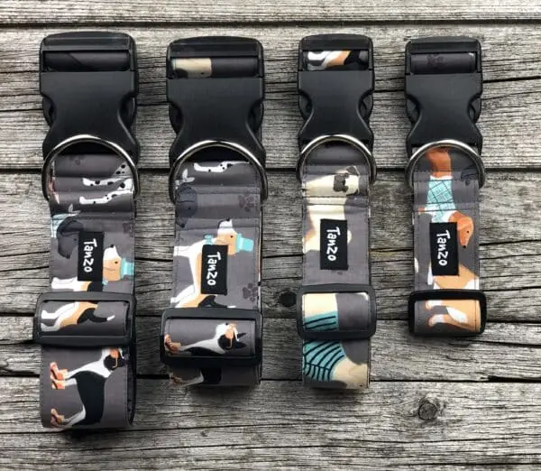 Collier, chiens avec vêtements – Image 3