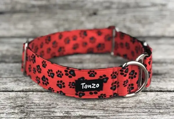 Collier, chien d'amour – Image 4