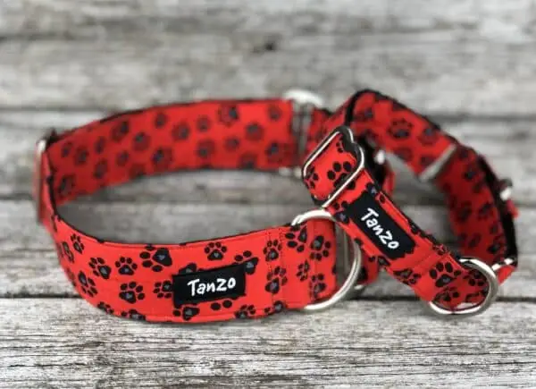 Collier, chien d'amour – Image 5