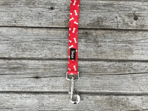 Laisse, os de chien