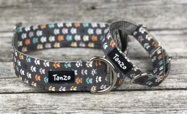 Collier, pattes de chien colorées sur fond gris – Image 4