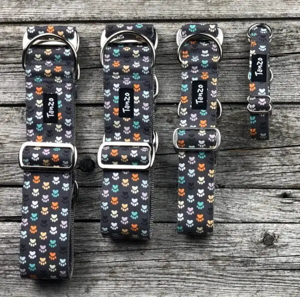 Collier, pattes de chien colorées sur fond gris – Image 6