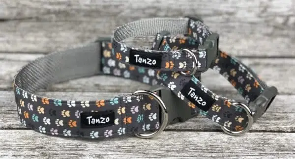 Collier, pattes de chien colorées sur fond gris – Image 2