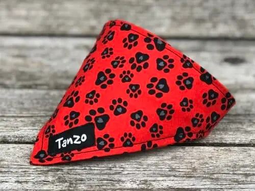 Foulard pour chat, pattes fond rouge