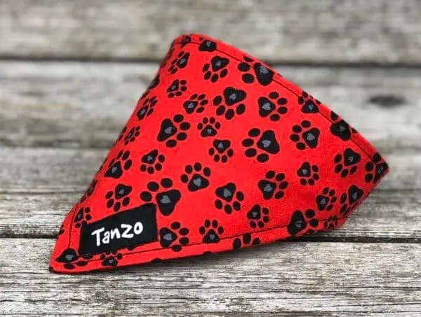 Foulard pour chat, pattes fond rouge