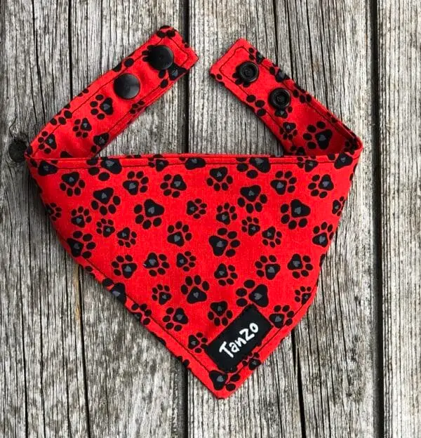 Foulard pour chat, pattes fond rouge – Image 2