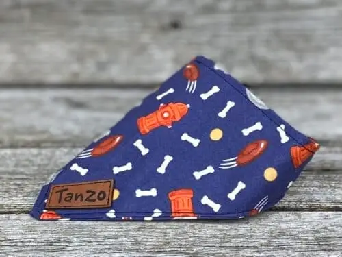 Foulard pour chat, incendie