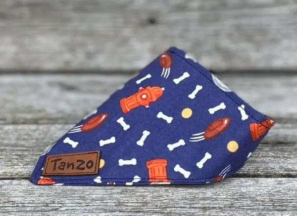 Foulard pour chat, incendie
