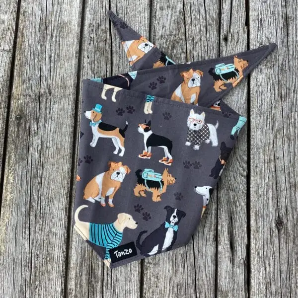 Foulard pour chien, chiens avec vêtements – Image 2