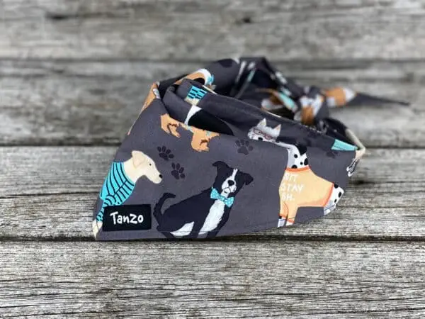 Foulard pour chien, chiens avec vêtements