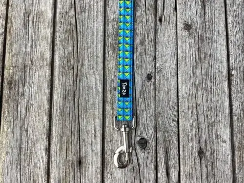 Laisse, carreaux turquoises