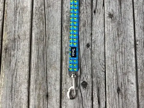 Laisse, carreaux turquoises