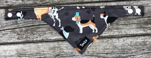 Foulard pour chat, chiens avec vêtements – Image 2