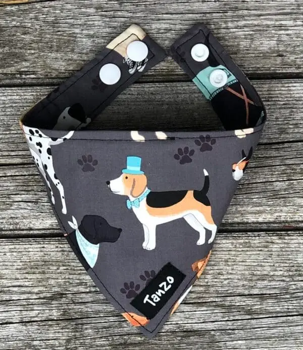 Foulard pour chat, chiens avec vêtements – Image 3