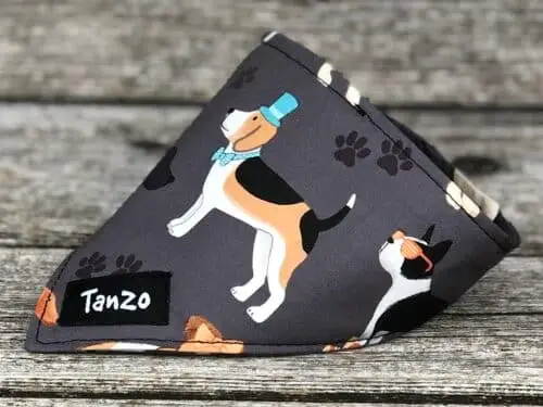 Foulard pour chat, chiens avec vêtements