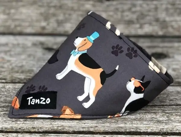 Foulard pour chat, chiens avec vêtements
