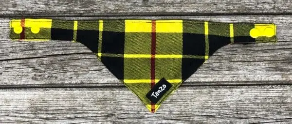 Foulard pour chat, carreaux noirs et jaunes – Image 3