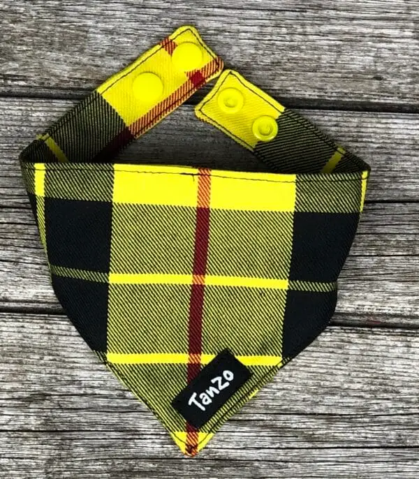 Foulard pour chat, carreaux noirs et jaunes – Image 2