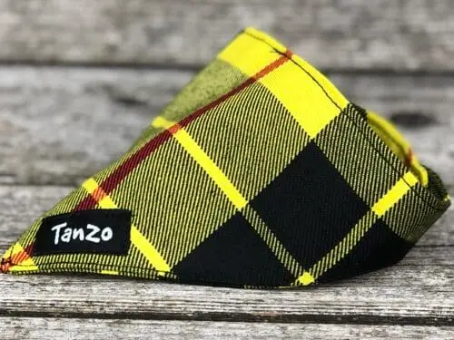 Foulard pour chat, carreaux noirs et jaunes