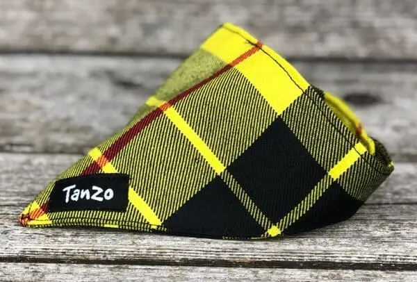 Foulard pour chat, carreaux noirs et jaunes