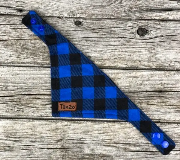 Foulard pour chat, carreaux bleu et noir – Image 3