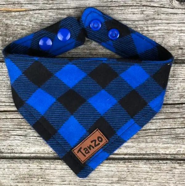 Foulard pour chat, carreaux bleu et noir – Image 2
