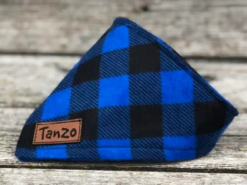 Foulard pour chat, carreaux bleu et noir