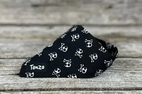 Foulard pour chat, danger