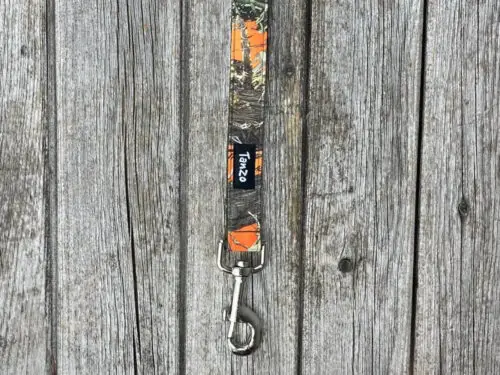 Laisse, camouflage orange