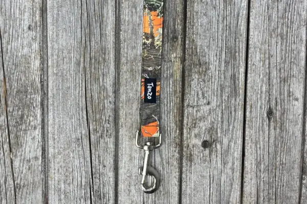 Laisse, camouflage orange