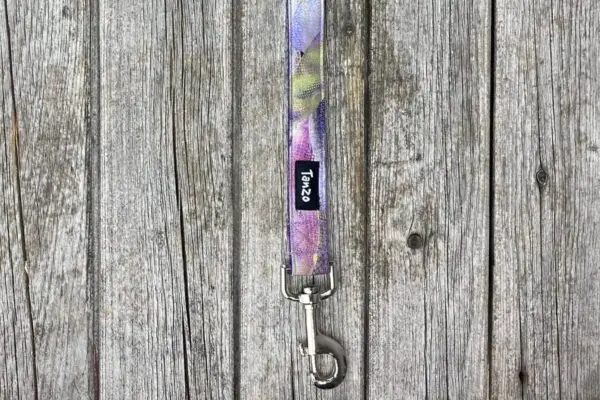Laisse, fleurs mauve