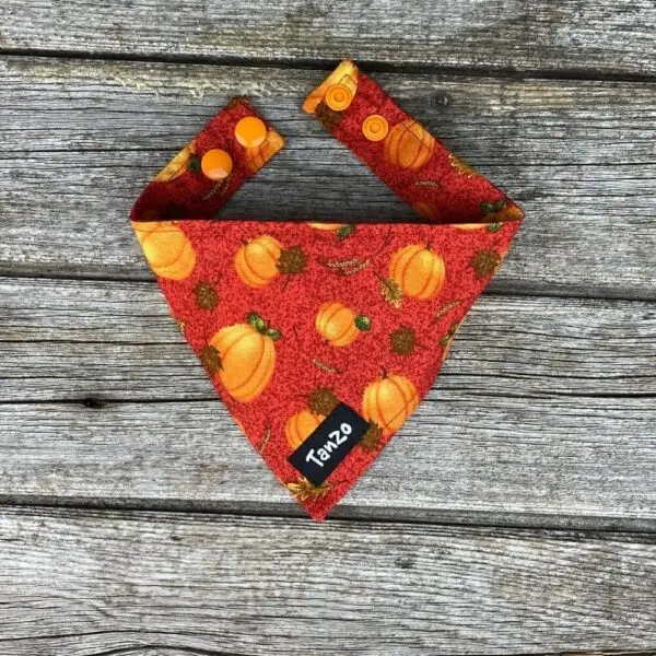 Foulard pour chat, citrouilles – Image 3